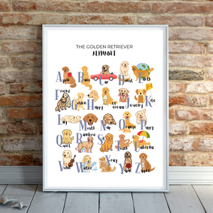 Golden Retriever Alphabet