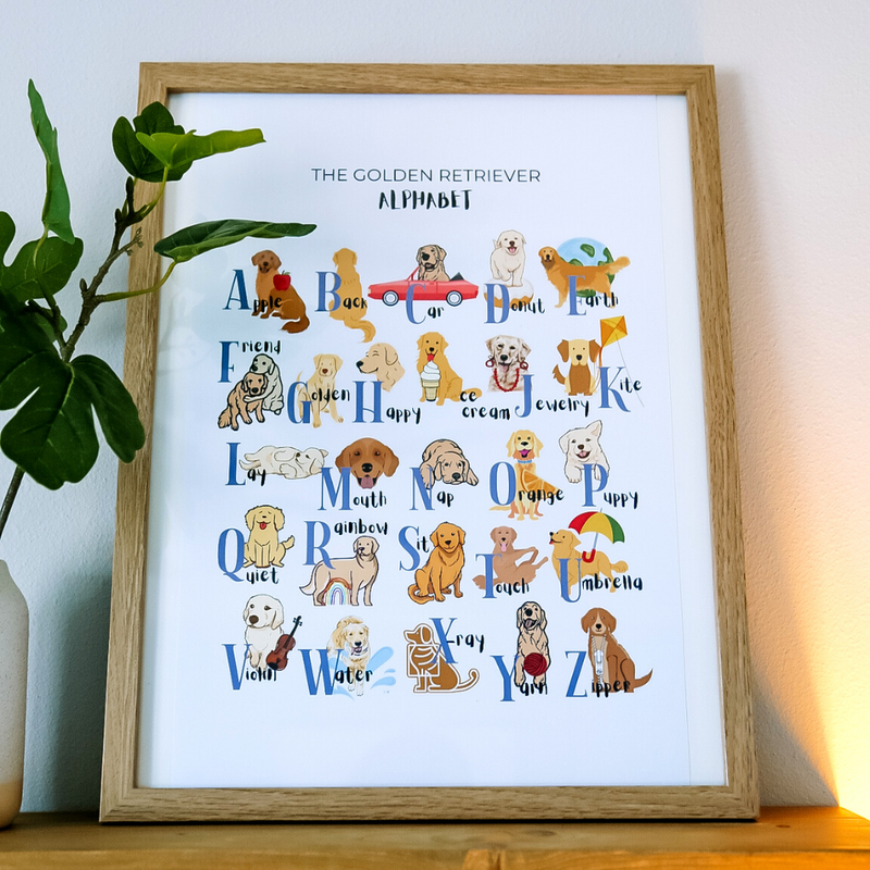 Golden Retriever Alphabet